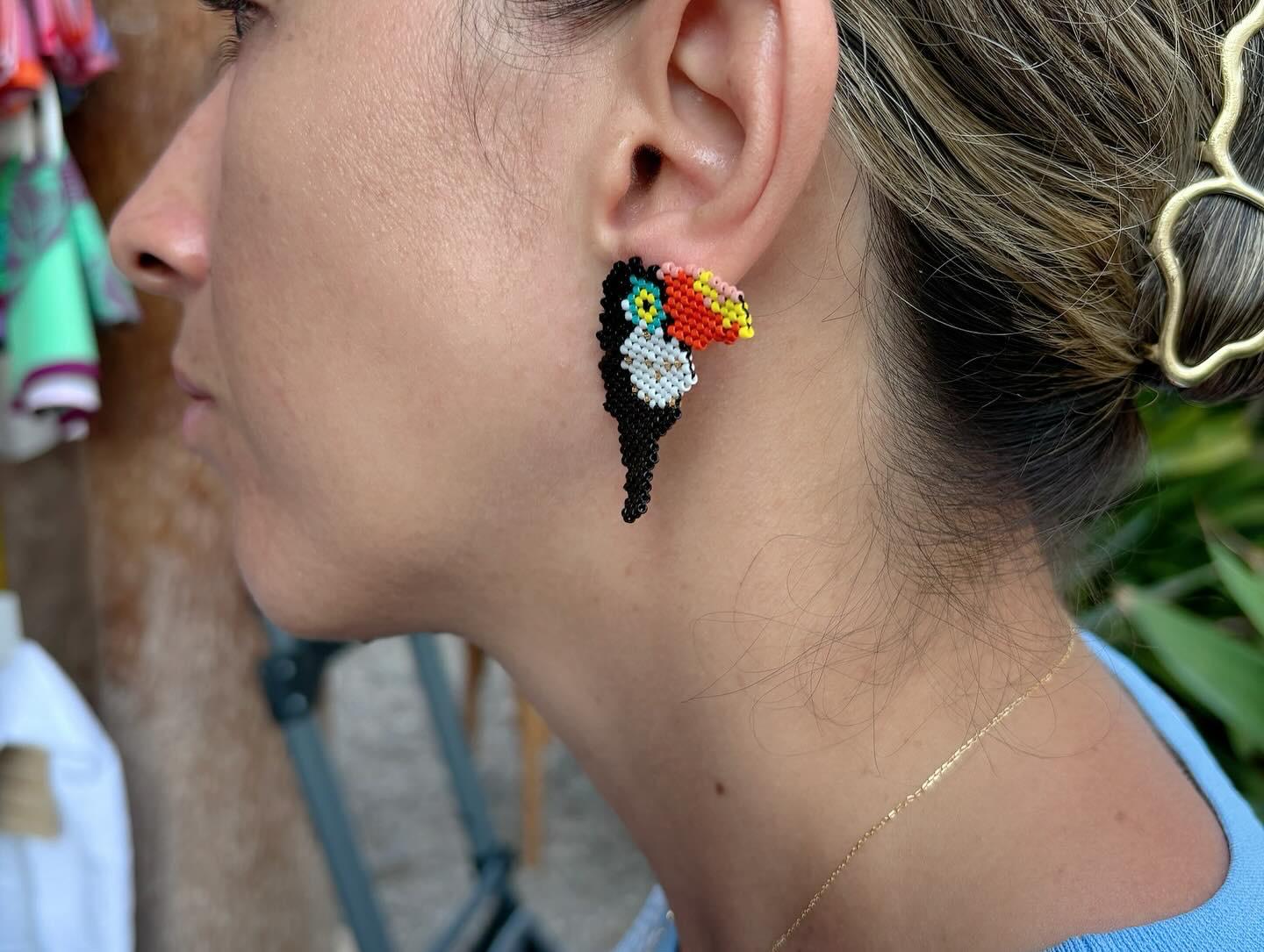 Pendientes  Tucan